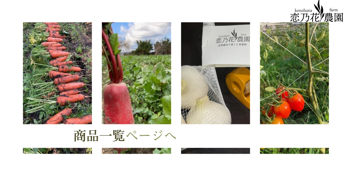 商品一覧